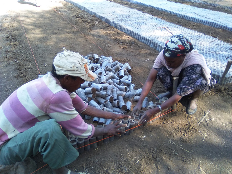 Phase III (2012 - 2016)